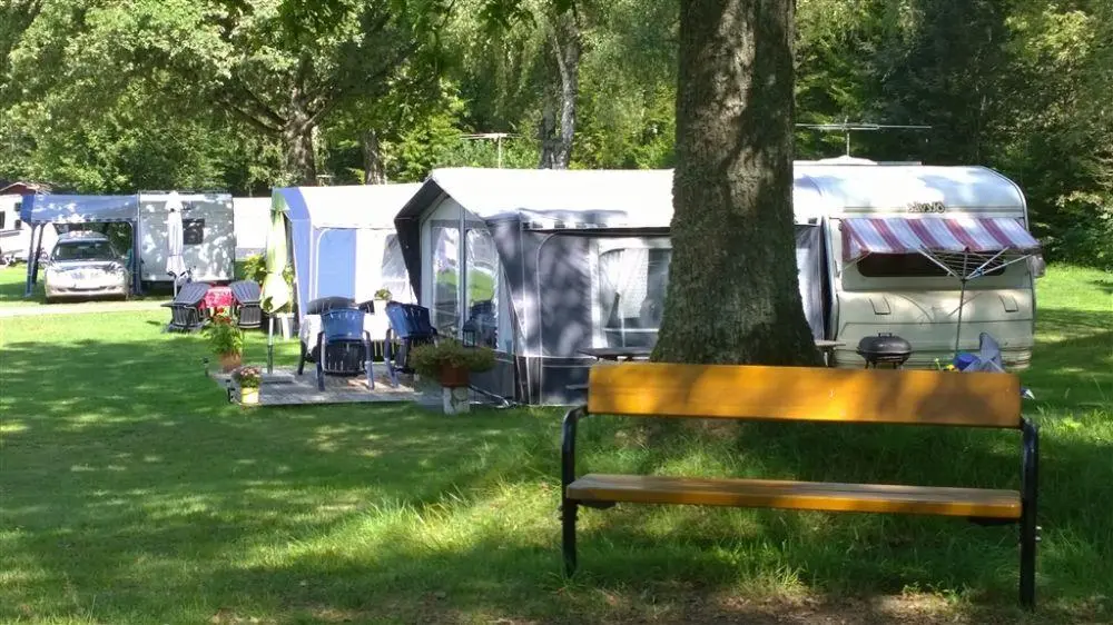 En grönskande campingplats med träd och skuggiga områden vid Långasjönäs Camping & Stugby. Gräsmattor och trädgårdsytor syns, medan fritidsfordon är parkerade i bakgrunden, omgivna av en avkopplande parkmiljö.