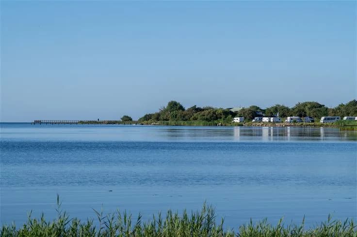 En somrig bild av en blå sjö vid my camping Tredenborg, med en kustlinje i bakgrunden och frodig grönska längs strandkanten.