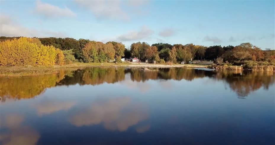 En idyllisk campingplats vid vattnet med klarblå himmel, omgiven av träd och naturskön miljö.