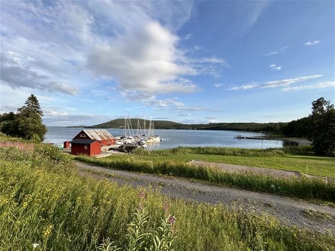 En båt flyter på klart vatten nära Skulebergets havscamping, omgiven av lummig strandvegetation och en stilla sjö i sommartid.