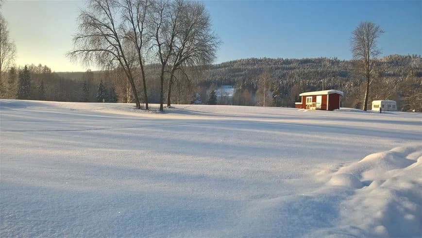 Vinterlandskap på Björkebo Camping med snötäckta träd, en liten stuga och en sluttande mark. Morgonsolen skiner över den frostiga scenen, vilket skapar en fridfull atmosfär.