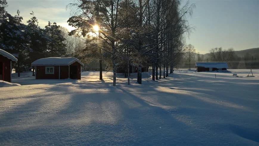 En snötäckt stuga vid Björkebo Camping omgiven av trädgrenar i ett vinterlandskap.