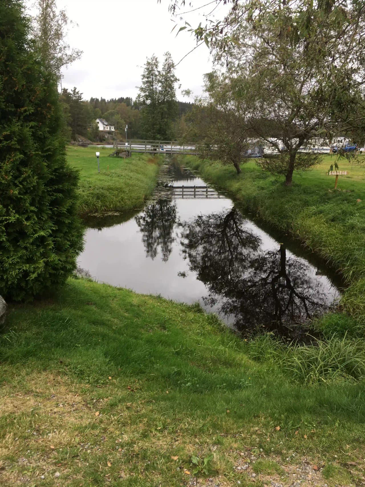 Bild på Bullarebygdens Familjecamping: En naturskön miljö med en vattenyta omgiven av grönt gräs och växter. En lugn bäck slingrar sig genom landskapet och bidrar till en avkopplande och fridfull atmosfär.