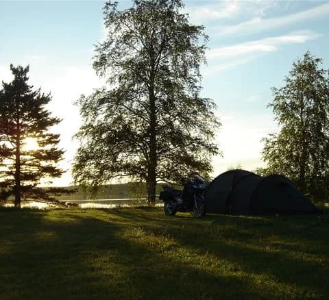 En grön campingplats i Särna med gräs, träd och tält. Morgonsolen lyser över landskapet.