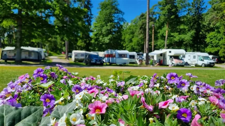 En campingplats i Trollhättan med husbilar och husvagnar uppställda i naturskön miljö, omgiven av gröna träd och välskötta gräsmattor.
