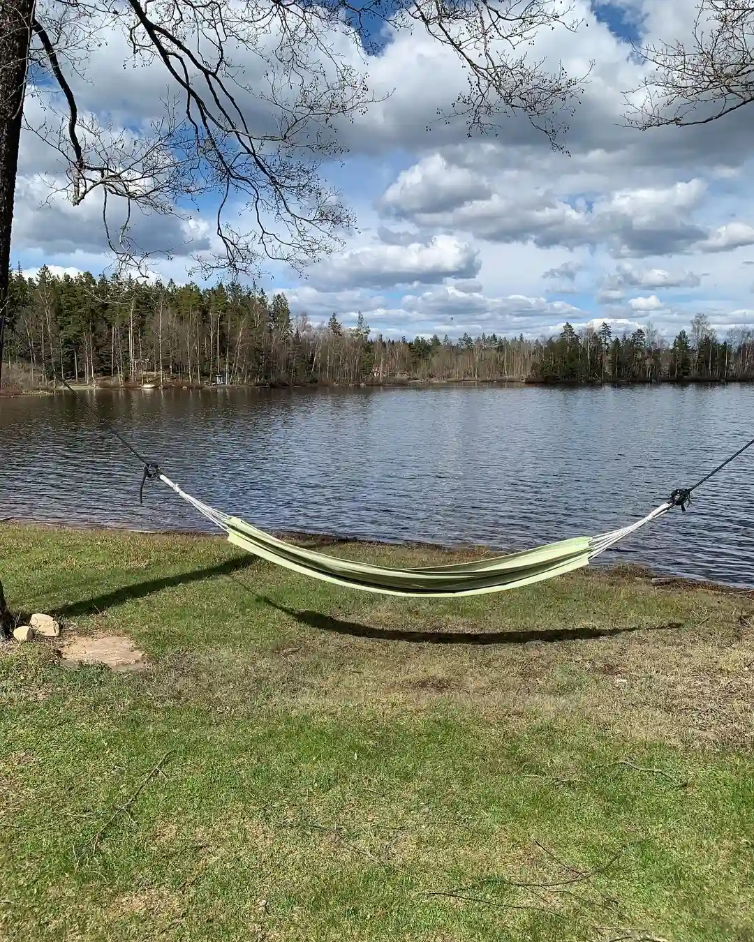 En hammock i en grönskande park vid en stilla sjö, omgiven av gräsmattor och våtmarker med reflektioner av landskapet.