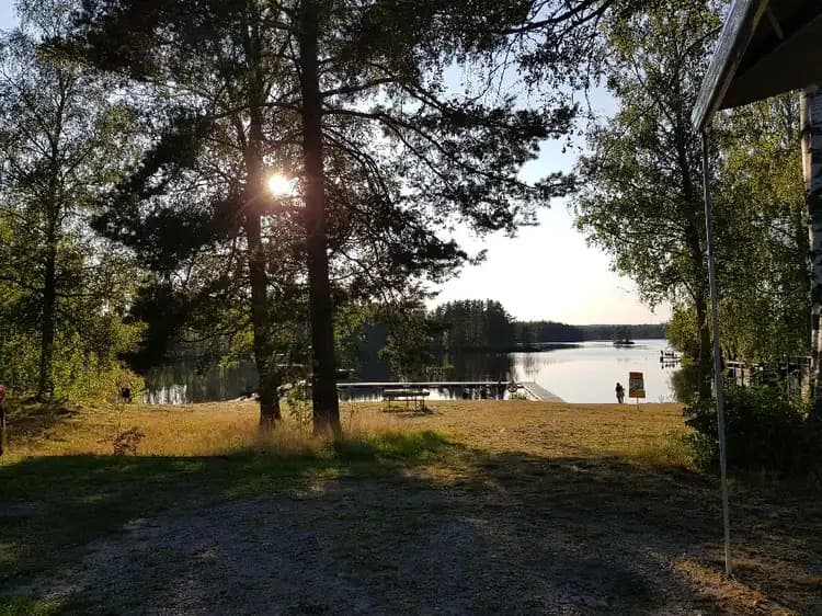 En fridfull naturscen vid Liens Camping med trädstammar som kastar skuggor över en stilla sjö omgiven av grönska i morgonljus.
