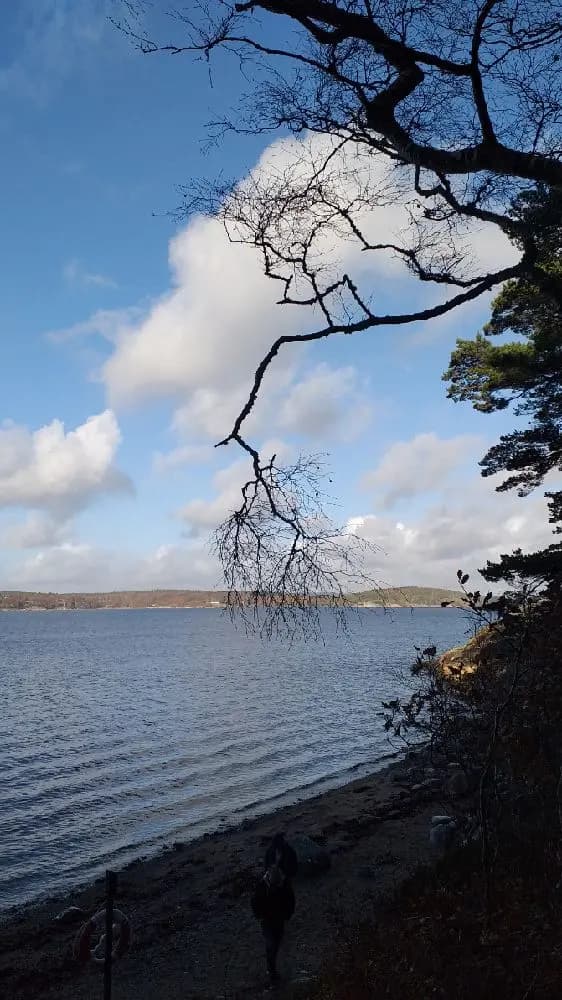 En kustnära landskapsscen med vy över vatten och blå himmel, omgiven av grönskande grenar och moln.