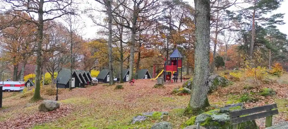 En skog med lövträd under hösten, med färgglada löv och en campingplats i ett parkliknande område vid Stenungsögården.