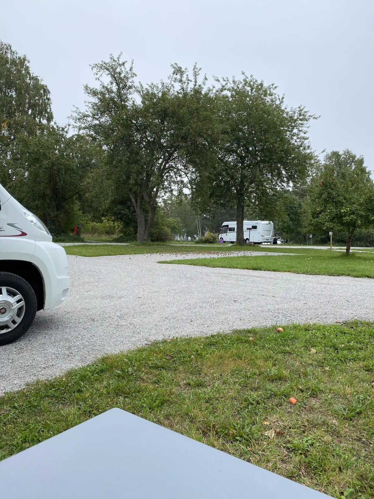 En grön gräsmatta omgiven av en parkering vid Björknäs camping. Flera bilar, inklusive en småbil och en SUV, står på den asfalterade infarten.