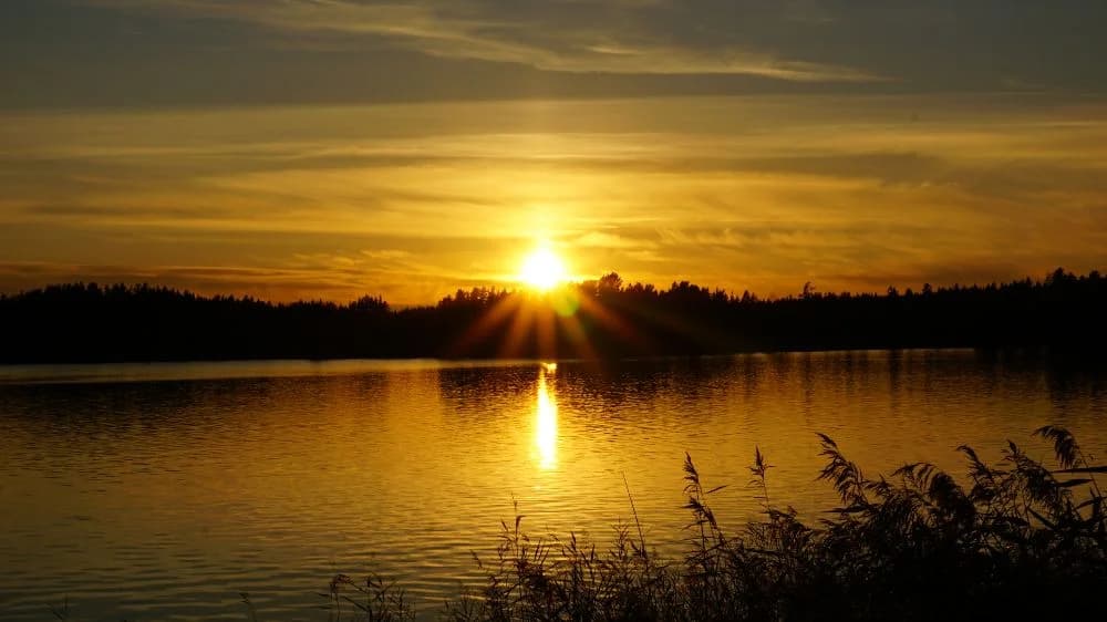 En solnedgång vid Högbacka camping där solen hänger lågt över horisonten. Vattnet glittrar under det gula skenet från himlen, omgiven av den fridfulla naturen.