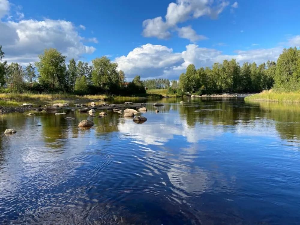 Bilden visar en naturskön vy vid Åmsele Camping med en klarblå himmel och moln över en lugn vattenyta, omgiven av grönskande träd och natur.