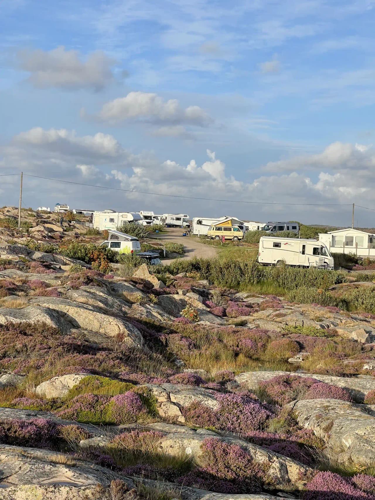 En vidsträckt landskapsscen vid Sotenäs Camping med öppna fält, buskvegetation och låga kullar under klar himmel.