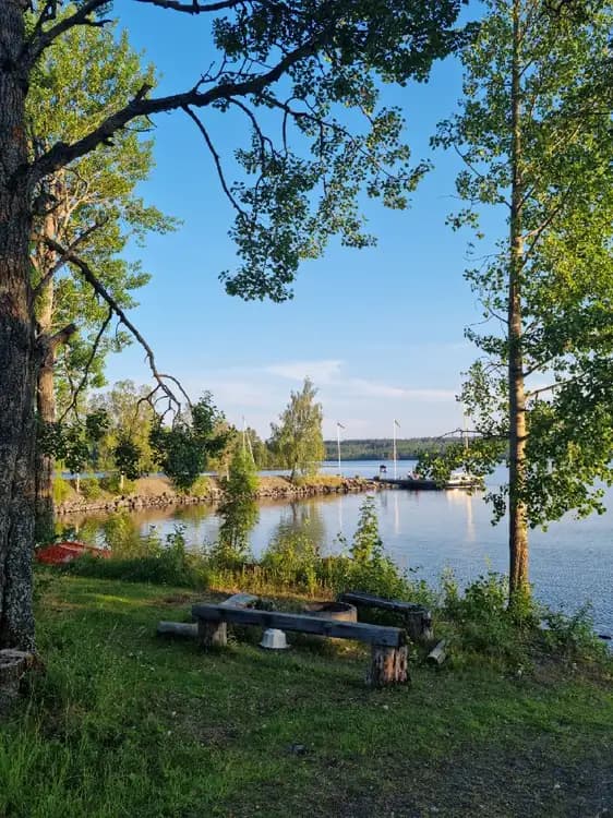 En somrig bild av Trångsvikens bygdegård omgiven av grönska, med träd och växtlighet vid en sjöstrand.