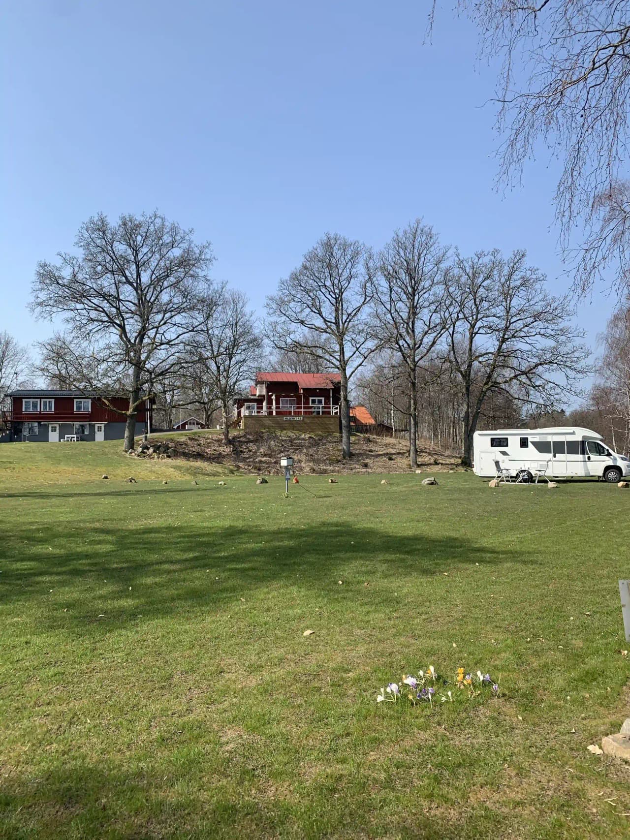 En grönskande äng med ett par träd i bakgrunden, typisk för en lantlig plats, representerar det natursköna området vid den sovande älgen.