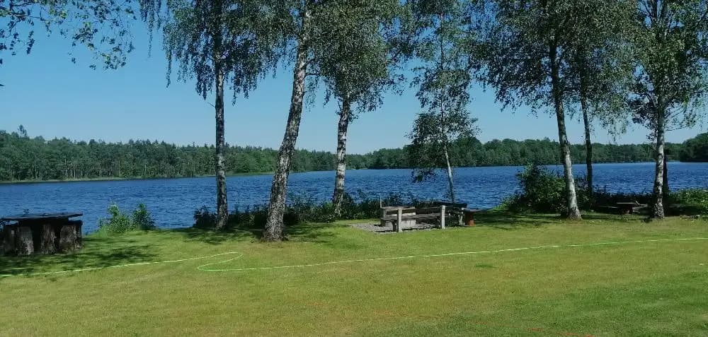 En lugn sommarvy över en naturlig landskapsmiljö med ett vattendrag omgivet av gräs och växtlighet.