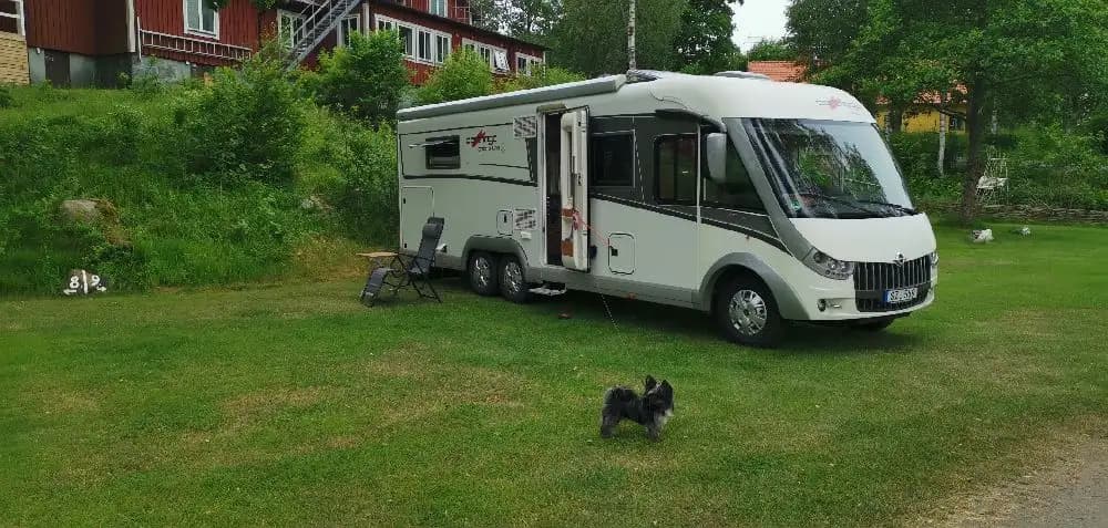 En husbil står parkerad vid en naturskön plats med tallskog i bakgrunden, nära attraktionen "den sovande älgen". Husbilens dörr är öppen och en bit av interiören är synlig.