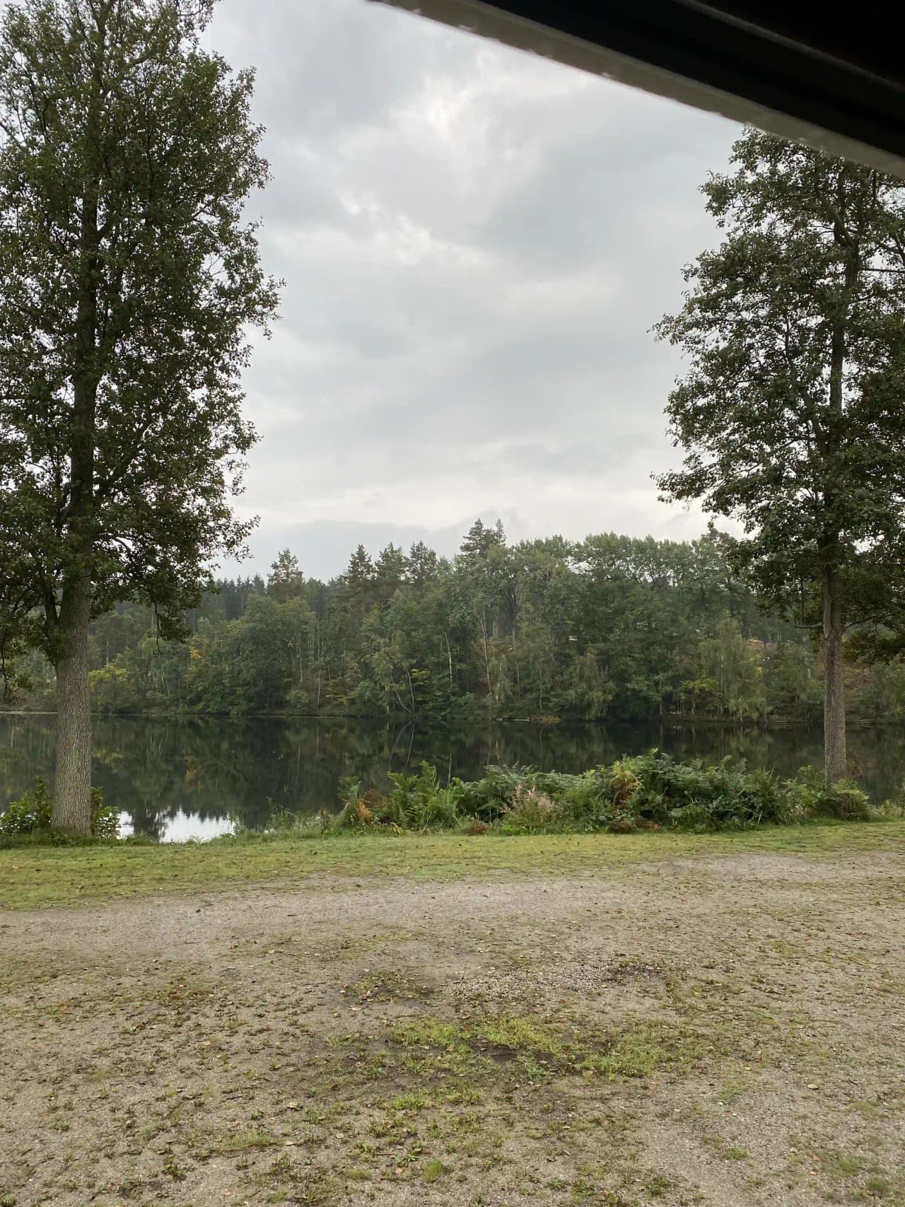 En lugn campingplats omgiven av tät skog och grönska, med trädstammar och grenar som ger skugga, samt en öppen gräsyta nära en sjö.