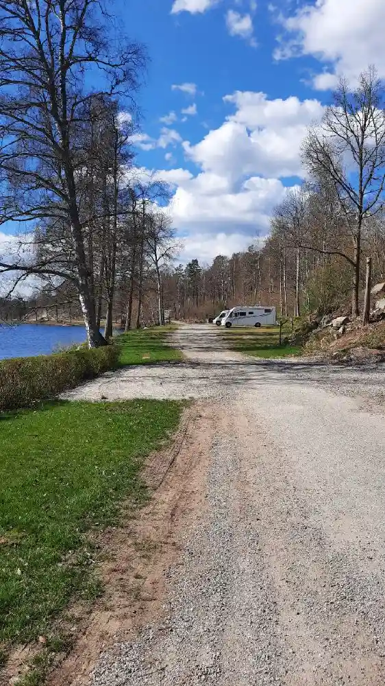 En grönskande campingplats omgiven av träd och växter, med en slingrande väg och skuggor på marken.