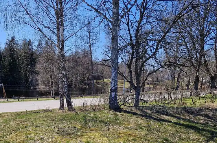 En naturskön campingplats med täta träd och grönskande omgivningar, med gräs och buskage i förgrunden och en lugn skogsmiljö i bakgrunden.