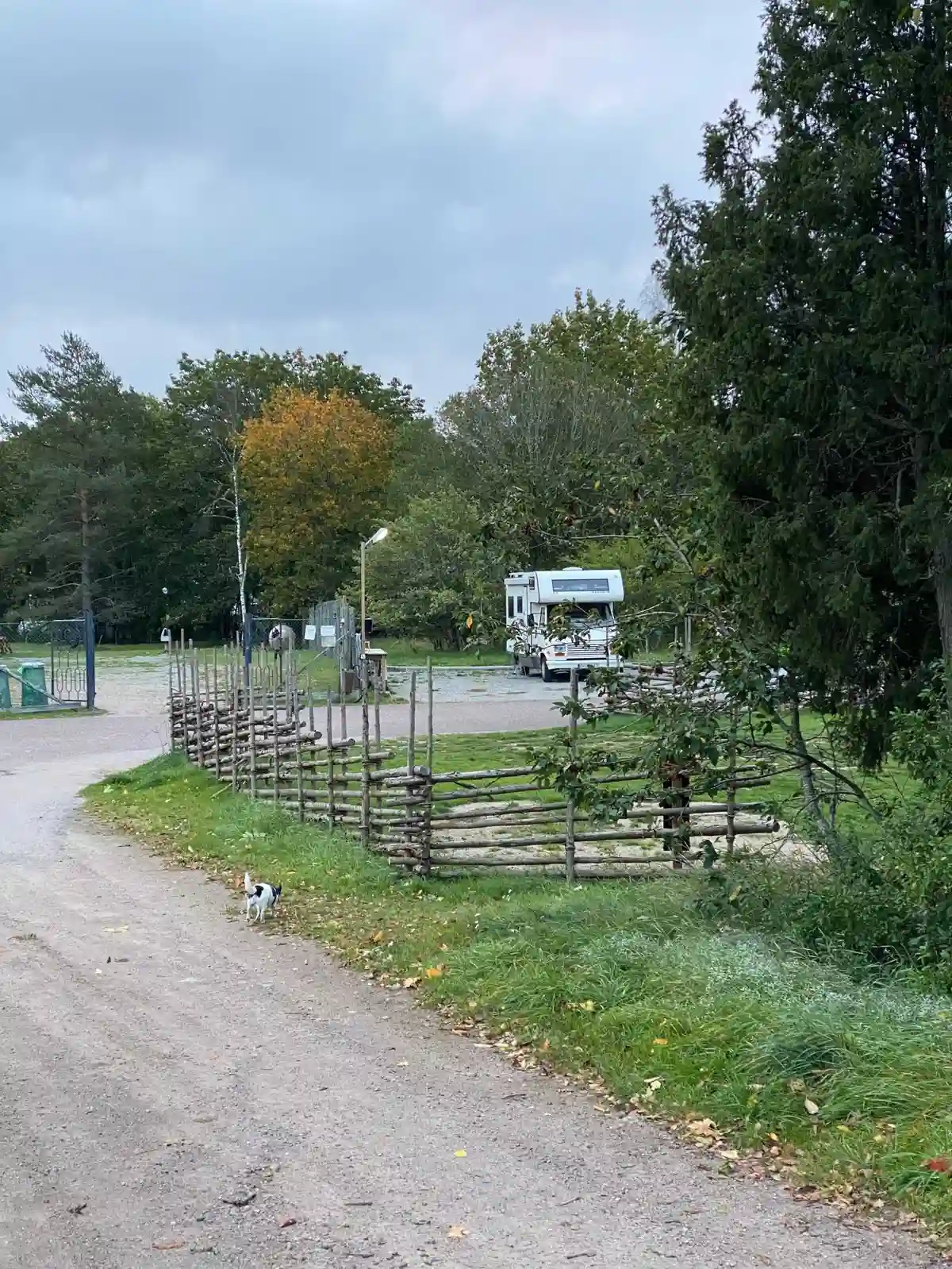 En grönskande friluftsmiljö med träd och buskar, där en grusväg leder förbi en enkel trägärdesgård. Ett glest träd ger skugga över en del av vägen, och en lyktstolpe står vid kanten. Platsen ger ett inbjudande intryck för besökare vid Broakulla ställplats och camping.
