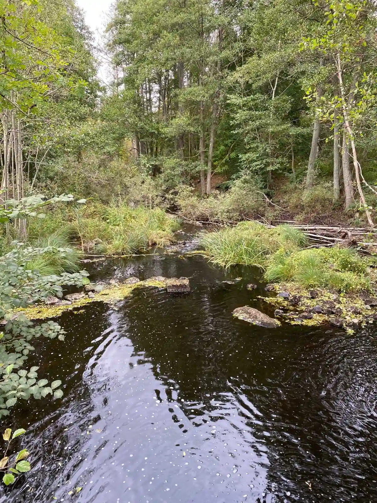 En fridfull campingplats vid vattnet med grönskande omgivningar och en naturlig miljö, Broakulla ställplats & camping erbjuder en lugn plats nära en vacker vattensamling.