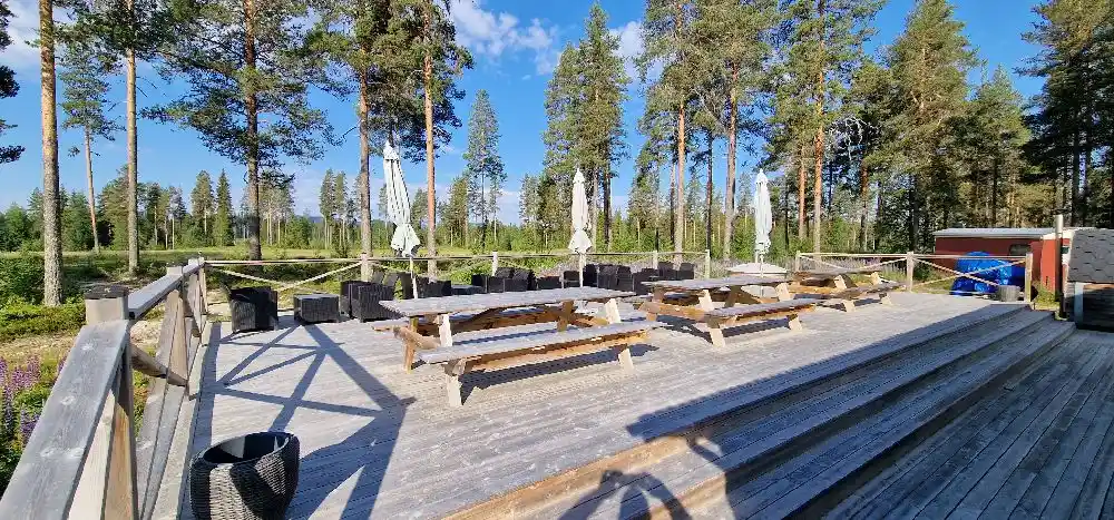 En träbänk och ett picknickbord under en lärk vid en gångväg på Bjurholms camping.