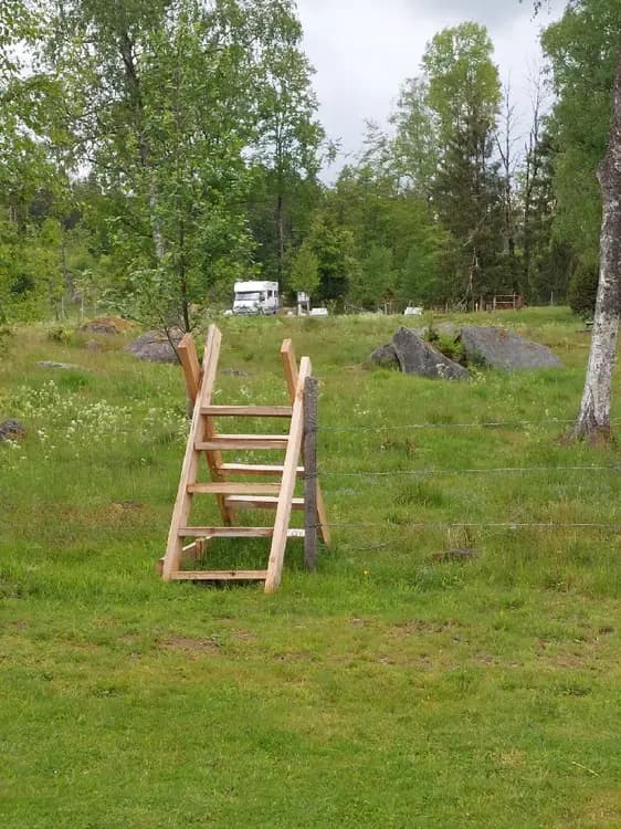 En grönskande äng med frodigt gräs och omgivande växter där en trästege står lutad mot ett trädstam, belägen vid Stjernkvist’s Hunshult.