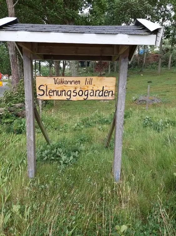 Bild av Stenungsögården: En naturskön plats med frodig markvegetation och trädstammar. En träskylt finns i förgrunden med information. Området omges av ett naturreservat och har en fridfull atmosfär, lämpad för besökare som vill uppleva utomhusmiljön.
