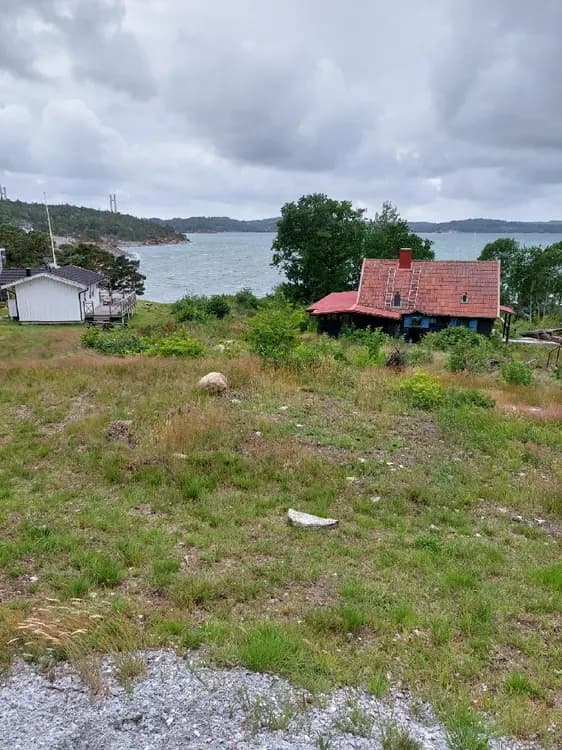 En lantlig stuga omgiven av frodig växtlighet nära en kustlinje, med en trädgårdsbyggnad eller skjul i bakgrunden, vid Stenungsögården.