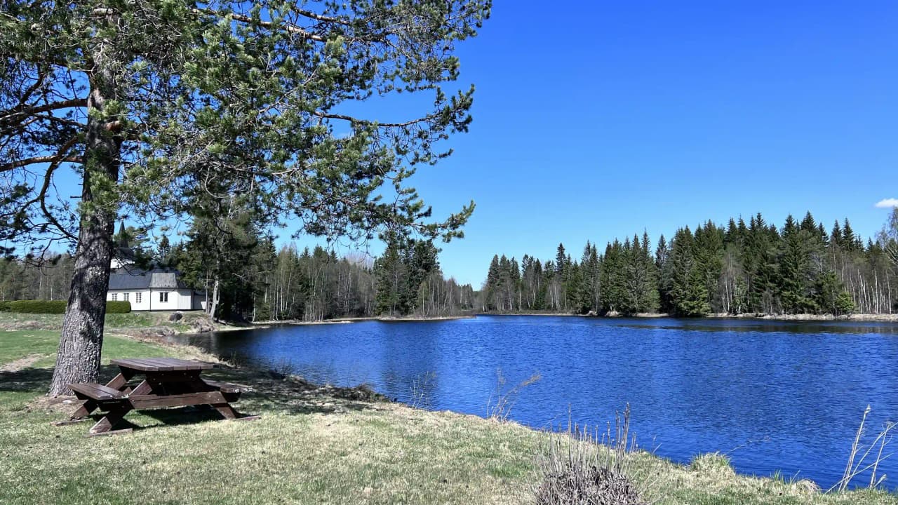 En naturskön vy vid Öje Vandrarhem med en klarblå sjö omgiven av täta barrskogar och lärkträd. Speglingar av träden syns i vattnet under en klarblå himmel.