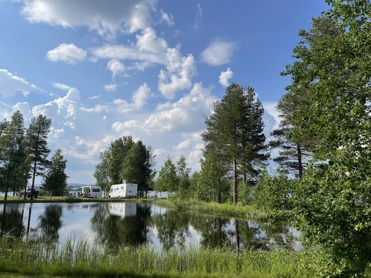 En vacker vy över Fredrika Camping med omgivande träd och naturlig miljö, vid strandkanten av en sjö med våtmarker och vass.