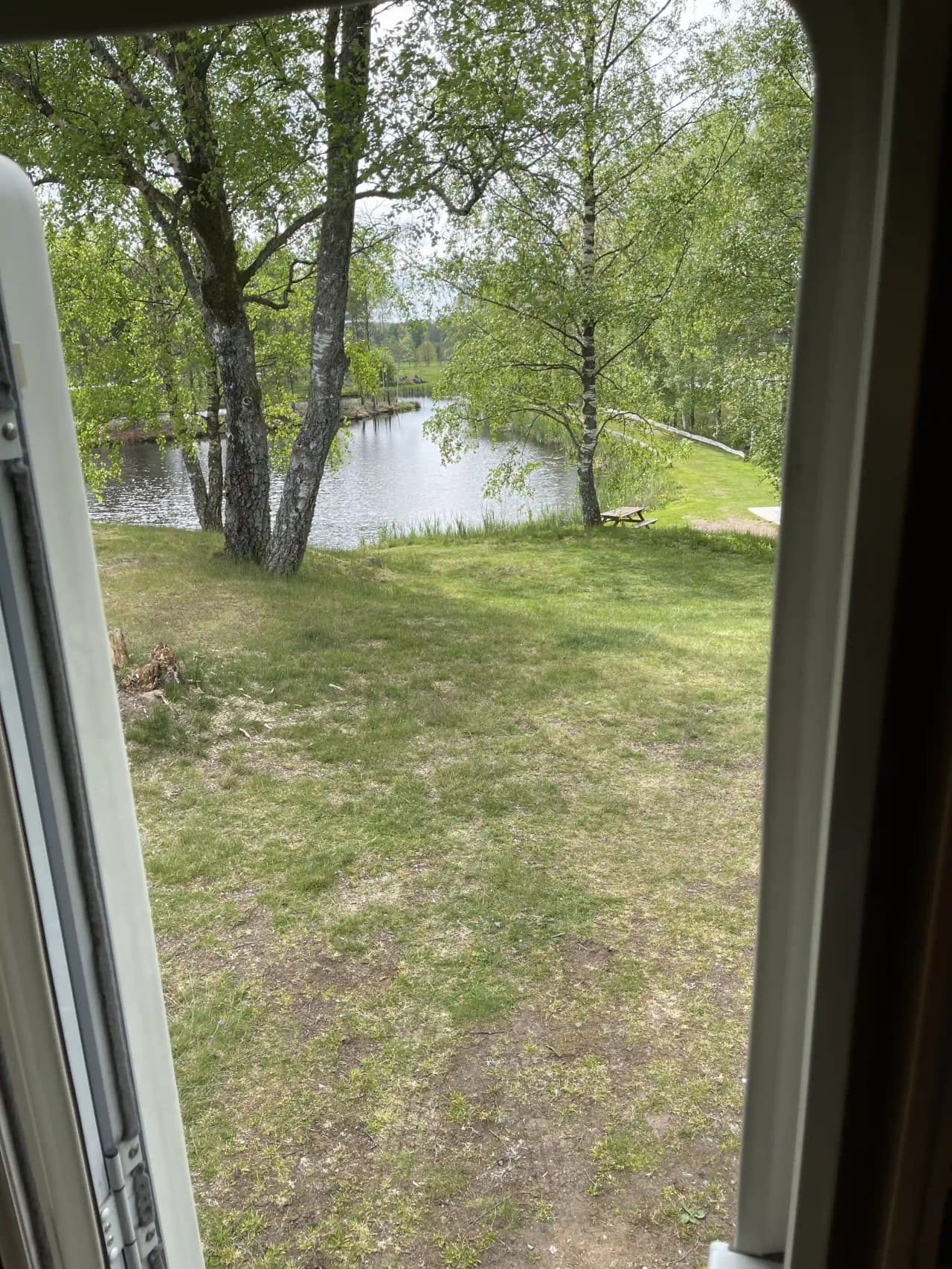 En solbelyst gräsbevuxen yta omgiven av skog, med en känsla av natur och lugn, synlig vid Våxtorps naturcamping på morgonen.