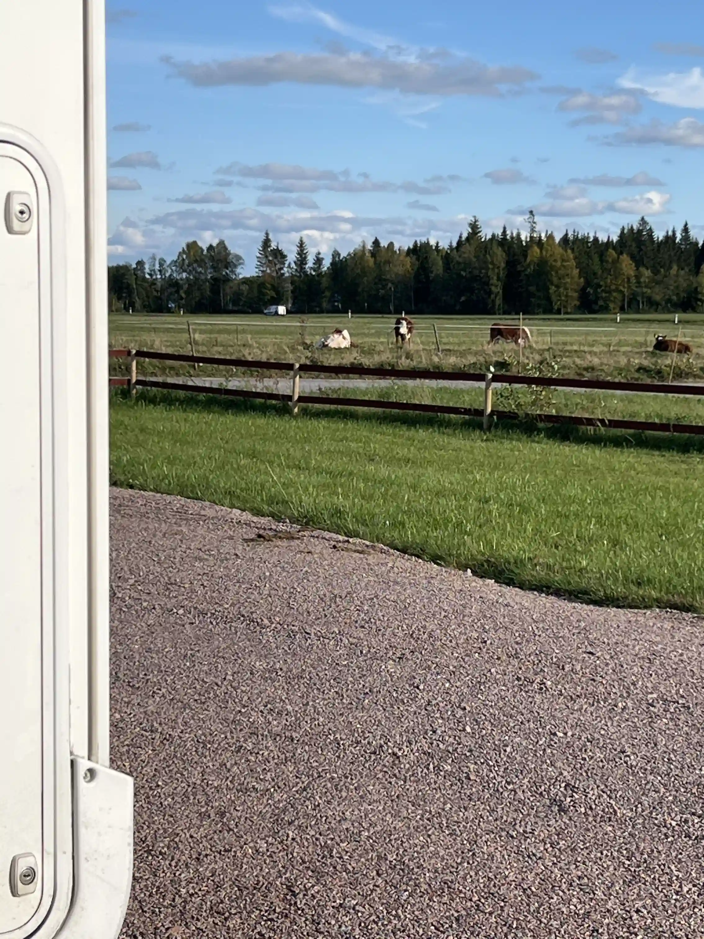 En grusväg slingrar sig genom ett vidsträckt fält, med en gårdsbyggnad synlig i bakgrunden, på ställplats Dalarna.