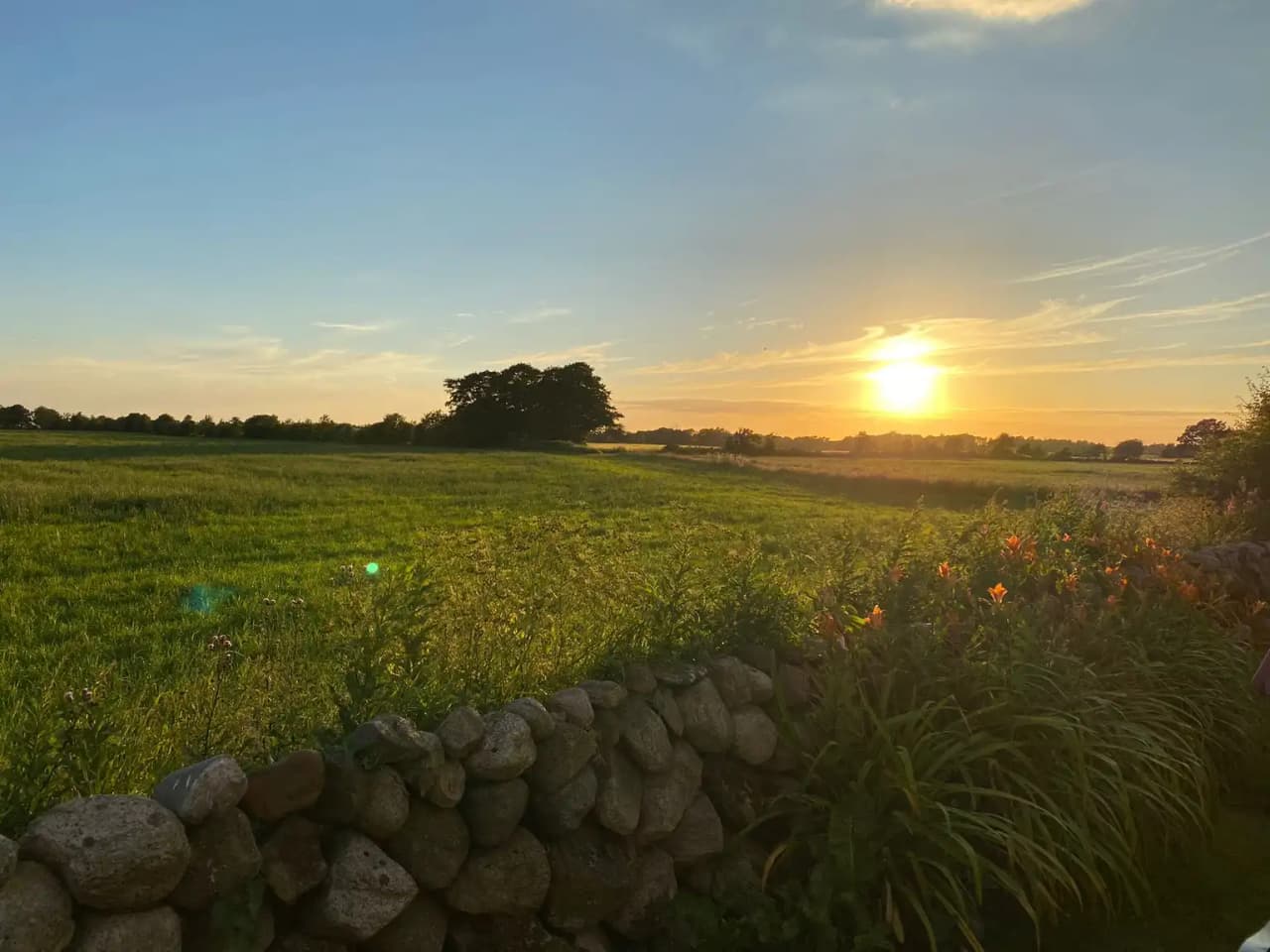 En solnedgång över ett öppet landskap vid Björkängs vandrarhem, med en klar himmel där moln skiftar i gula och orangea nyanser, som skapar en lugn och fridfull atmosfär.