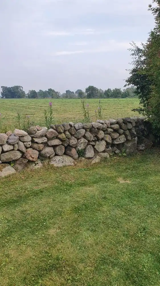 Ett vackert landskap vid Björkängs vandrarhem med en stenmur som ramar in en grönskande äng.