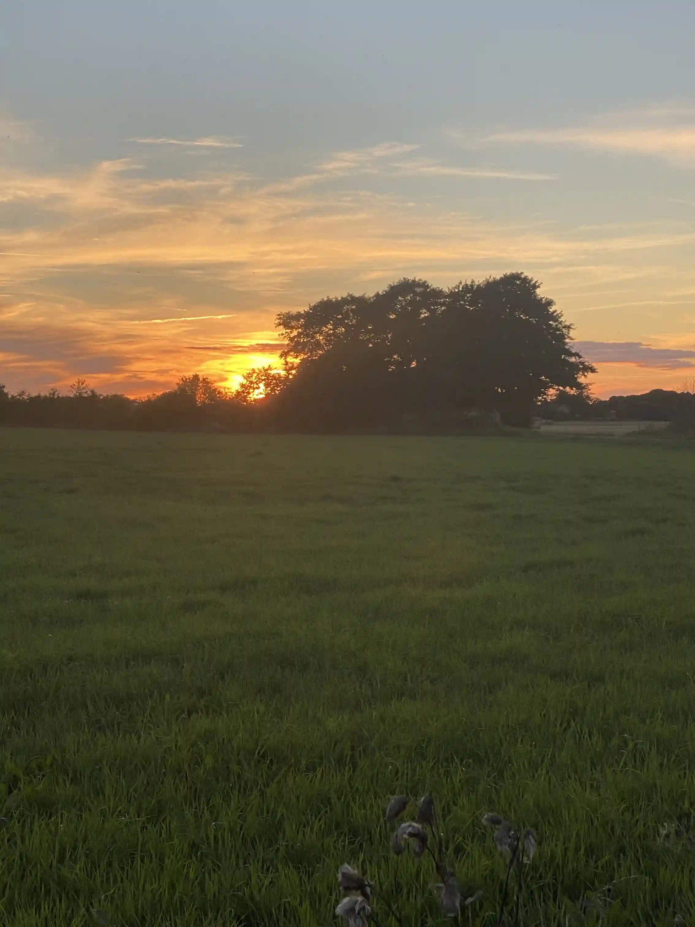 Björkängs vandrarhem i solnedgången, omgiven av gräs och moln som färgats i varma toner vid horisonten. En rofylld vy över naturen i dagsljus.
