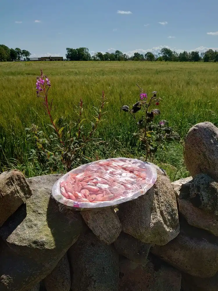 En tallrik med kött och tillbehör serverad i matsalen på Björkängs Vandrarhem.
