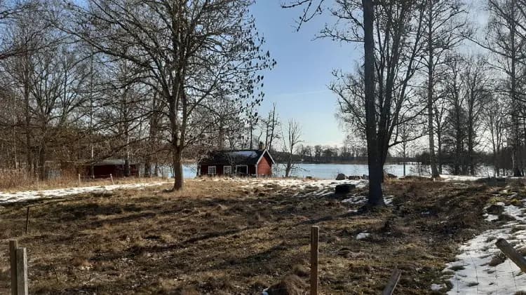 En snötäckt stuga omgiven av träd och grenar i ett lantligt område under vintern.