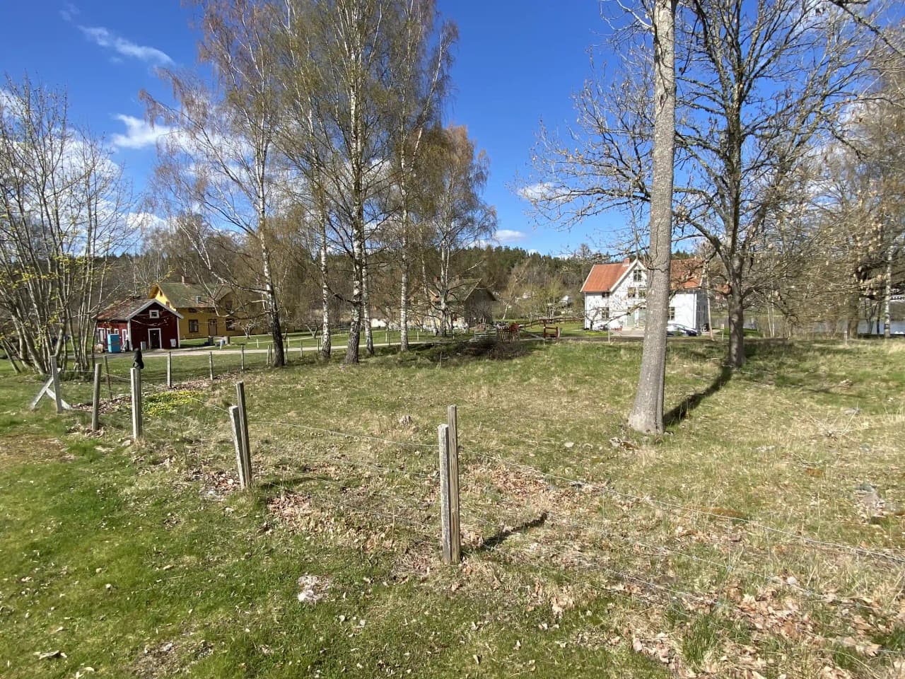En lantlig scen vid glasbruket med en grön gräsmatta och stora träd. I bakgrunden syns ett hus eller en stuga omgiven av öppna ytor.