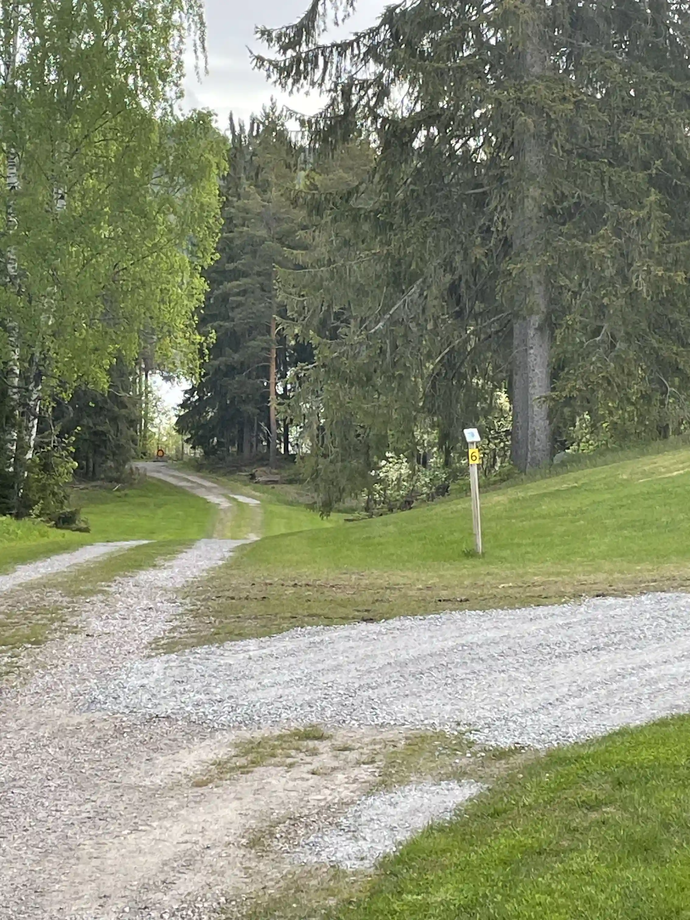 En asfalterad väg som leder genom en lummig campingplats vid Valasjön, omgiven av gräs, träd och buskar.