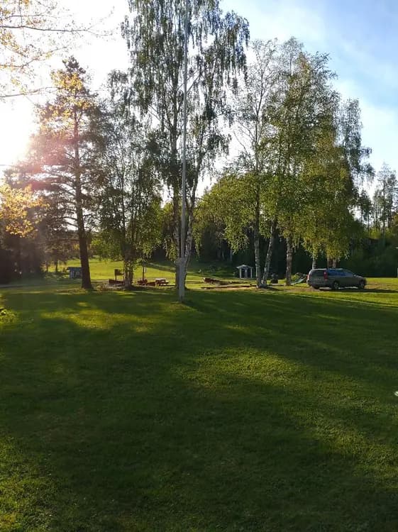 Alt-text: En naturskön campingplats vid Valasjön med grönskande gräs, höga träd och lummig vegetation, idealiskt för avkoppling och friluftsliv.
