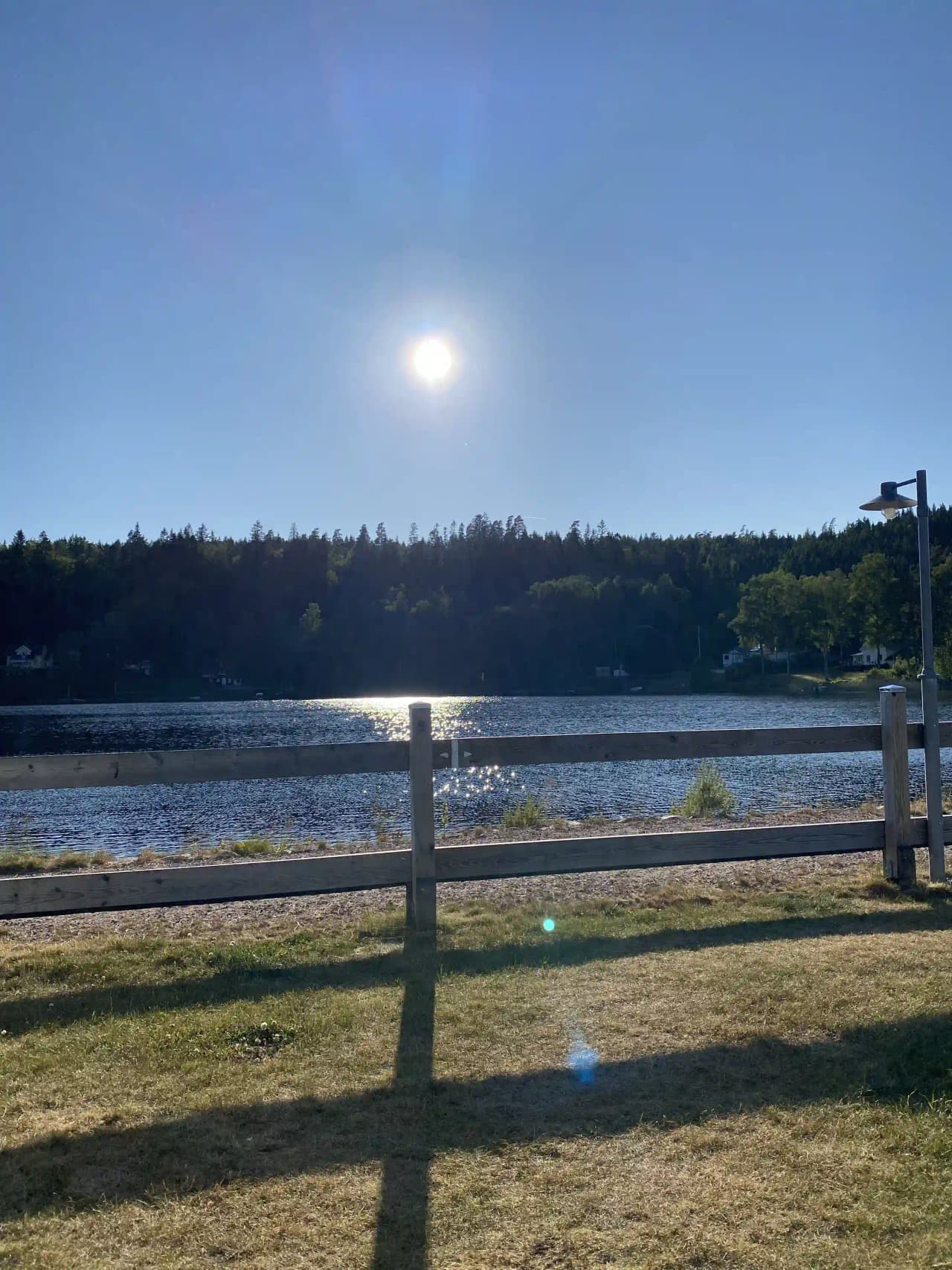 En solig sommardag vid en sjö med klarblå himmel och horisont i bakgrunden, omgiven av frodig natur.