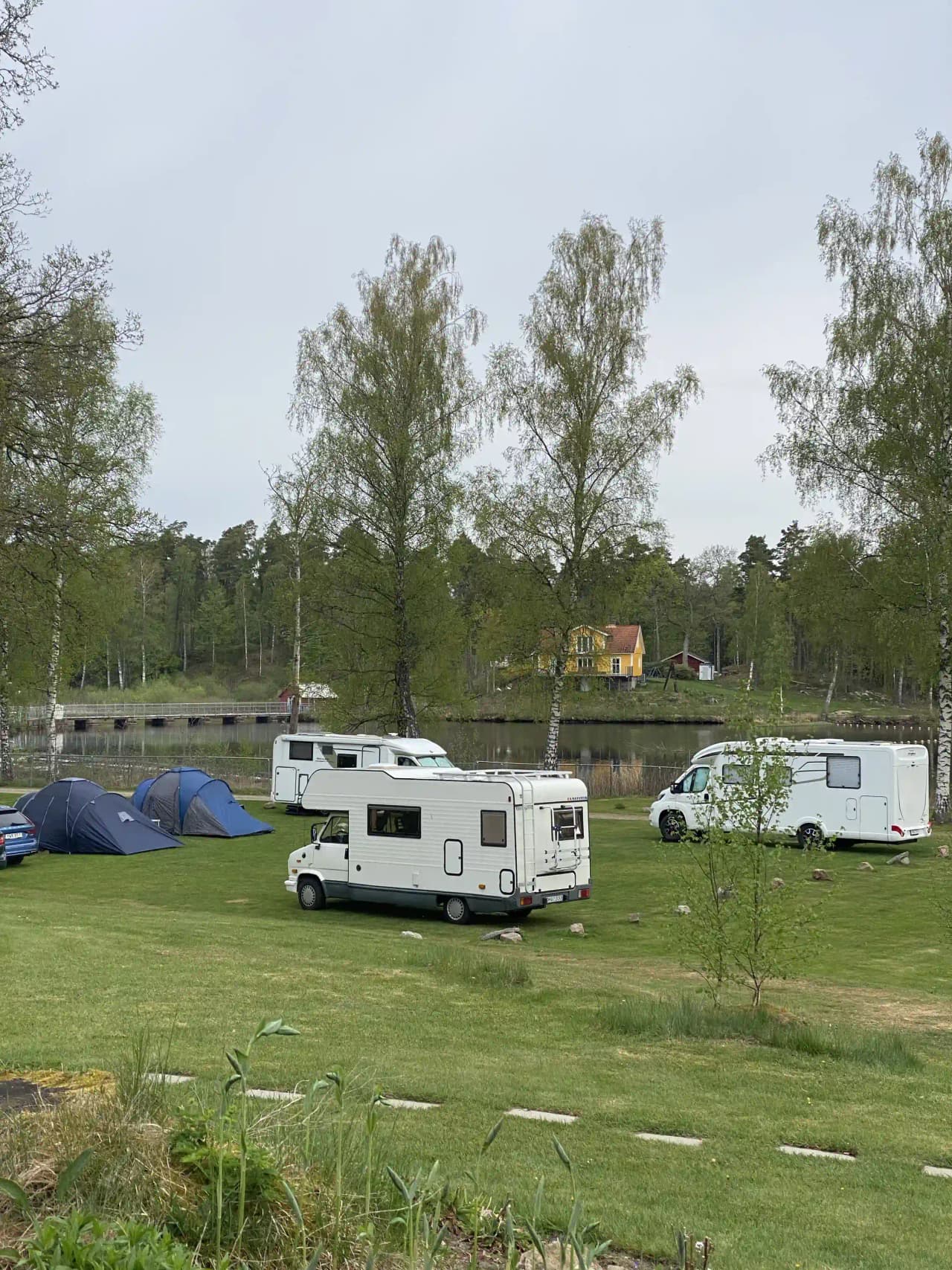 En husvagn och ett campingtält står uppställda på en grön gräsmatta vid en campingplats, omgiven av växter och en vidsträckt äng i bakgrunden.