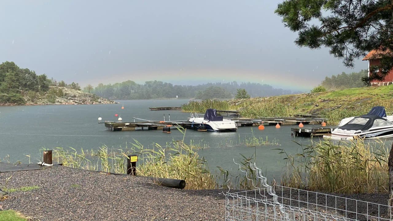 En liten båt ligger förtöjd vid strandkanten i Eriksviks hamn. Vattnet i hamnen är lugnt och omges av grönskande träd längs strandlinjen. Bakgrunden visar en större vattenväg som sträcker sig bortom horisonten.