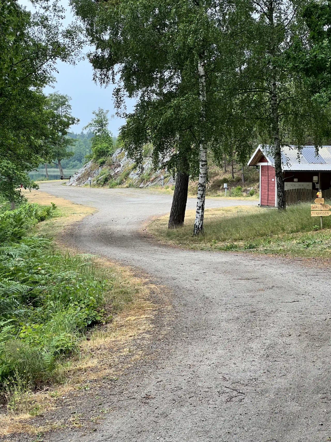 En grön campingplats med träd och buskar, gräsbevuxna ytor samt en asfalterad väg som leder genom området på Ljuvadal camping & ställplats.