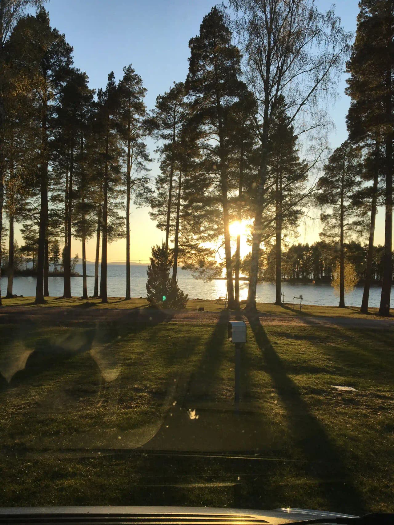 En lugn skogsmiljö vid Tällbergs camping, där solljus filtreras genom trädkronorna vid gryning eller skymning, med en glimt av stranden i bakgrunden.
