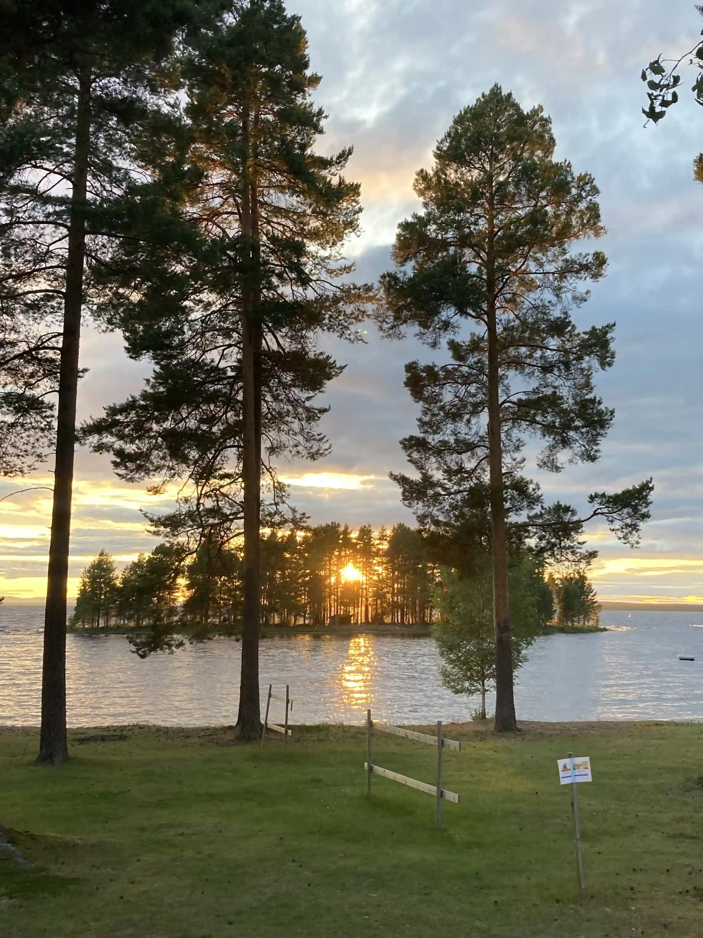 En skogsbeklädd strand med en sjö i solnedgången, där kvällens varma ljus speglas i vattnet.