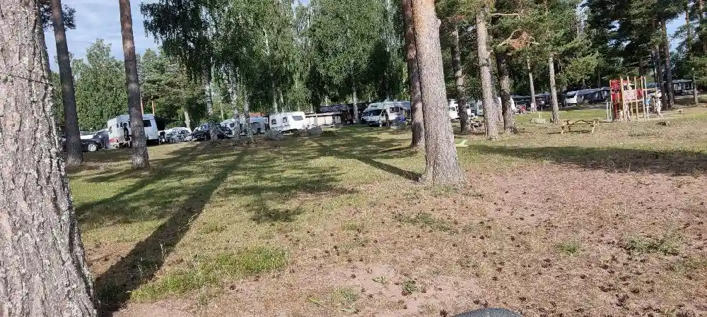 Bild på Tällbergs camping med flera parkerade bilar i olika storlekar, omgivna av träd och grönska. Bilarna står på en parkeringsplats, vilket skapar en inbjudande atmosfär för besökare.