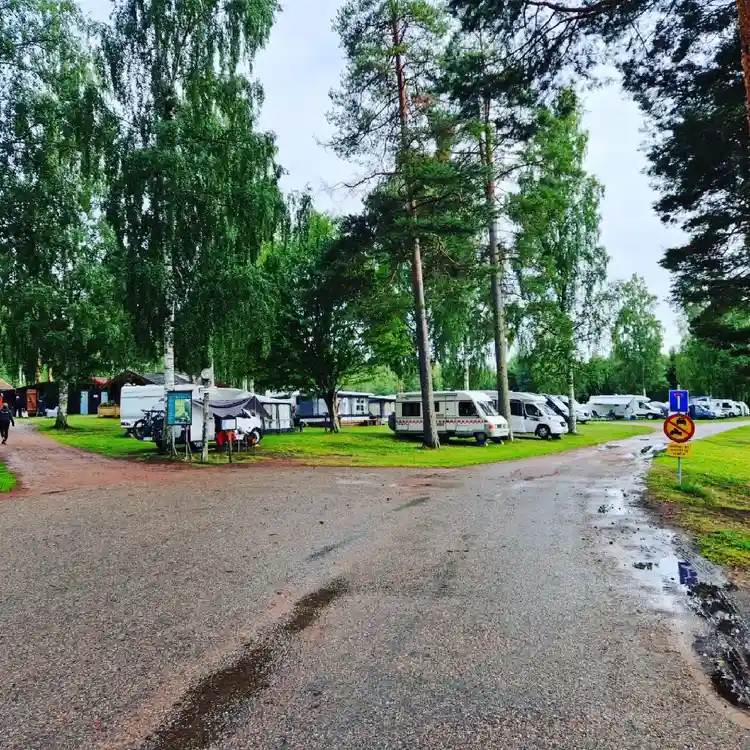 En campingplats med husvagnar och husbilar parkerade på ett öppet område, omgiven av grönska.
